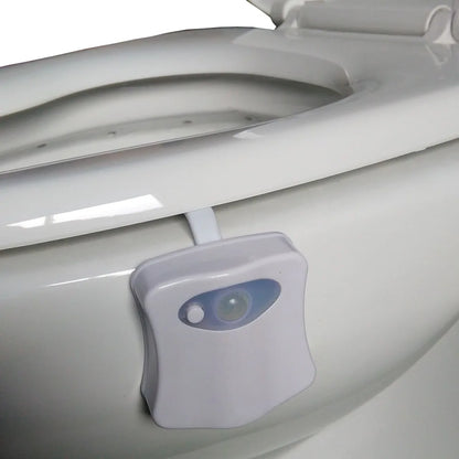 Smart Motion Sensor Toilet Seat Night Light